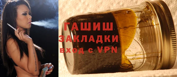 сатива Коряжма