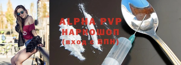сатива Коряжма