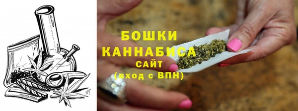 сатива Коряжма