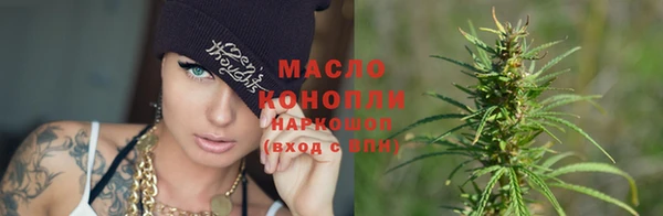 гидра Костерёво