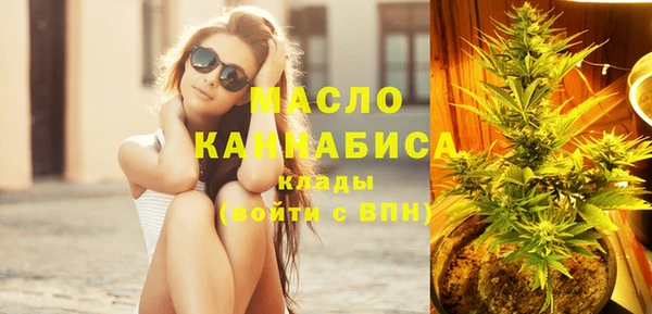 сатива Коряжма