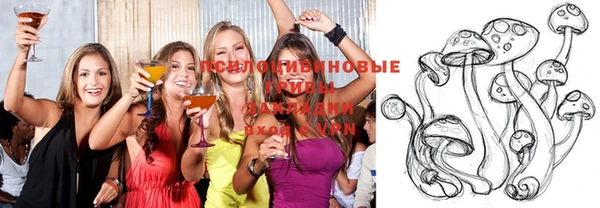 гидра Костерёво