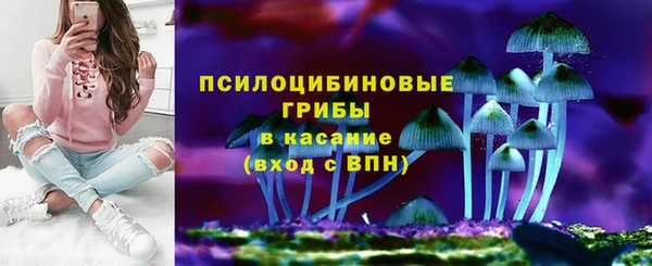 гидра Костерёво