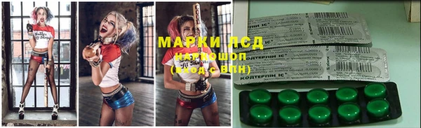 сатива Коряжма