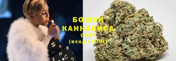 гидра Костерёво
